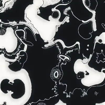 Water Studies #18
