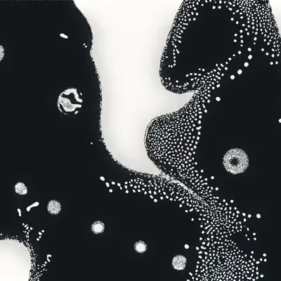 Water Studies #27