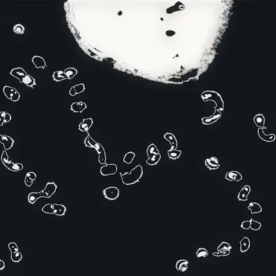 Water Studies #28