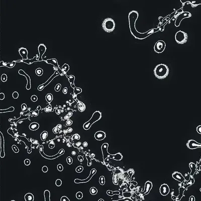 Water Studies #29