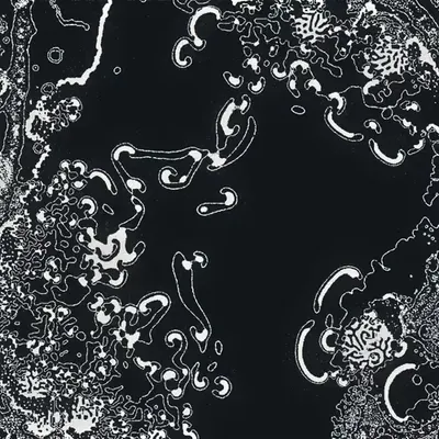 Water Studies #7