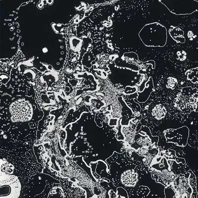 Water Studies #9