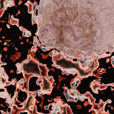 mimizu Untitled #43