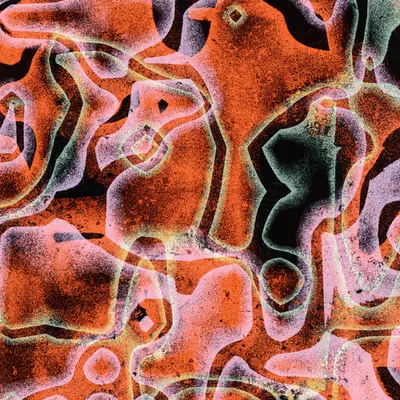mimizu Untitled #29