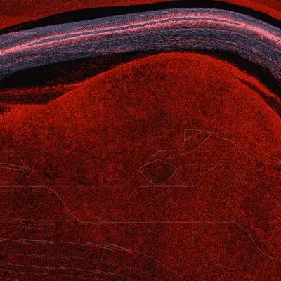 mimizu Untitled #23