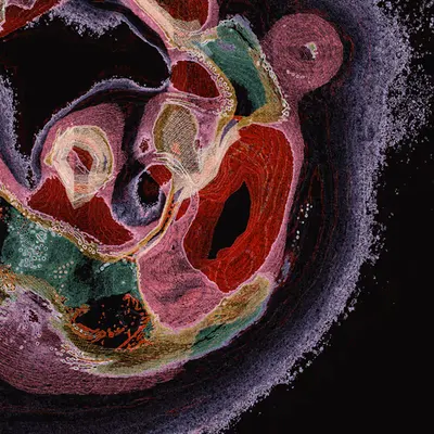 mimizu Untitled #32