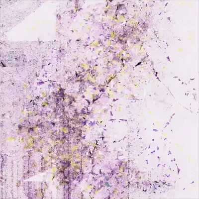 春分 ｜ Equinox #39