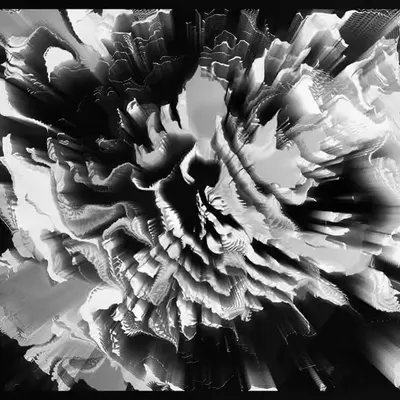 Biomes #104