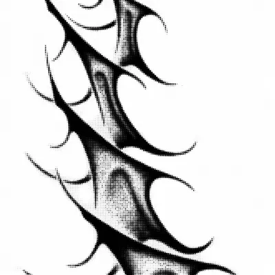 IV
