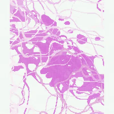 Mycelium #1