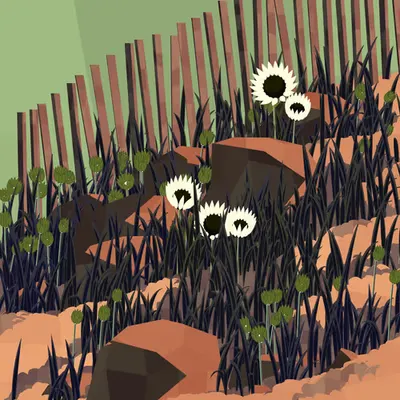 Frontier #10