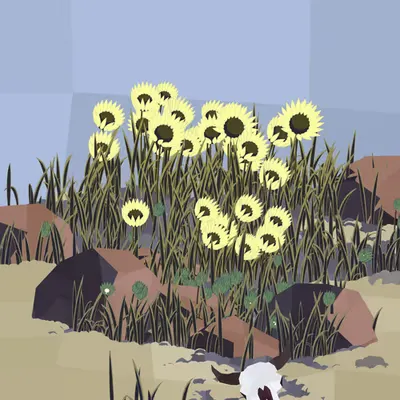 Frontier #16