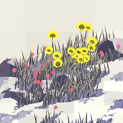 Frontier #17