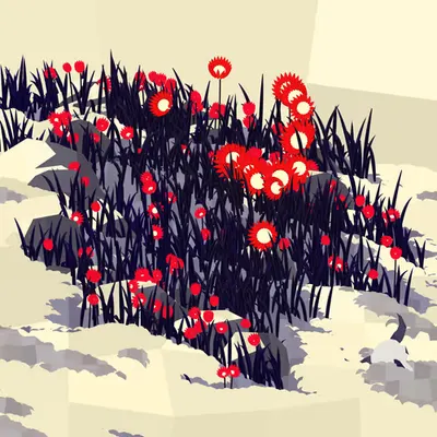 Frontier #20