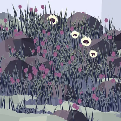 Frontier #25