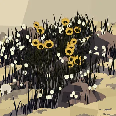 Frontier #30