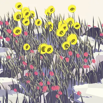 Frontier #31