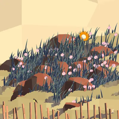 Frontier #40