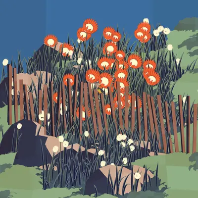 Frontier #44