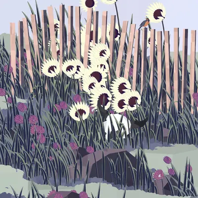 Frontier #48