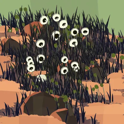 Frontier #50