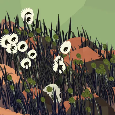 Frontier #52