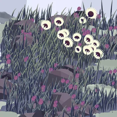 Frontier #57