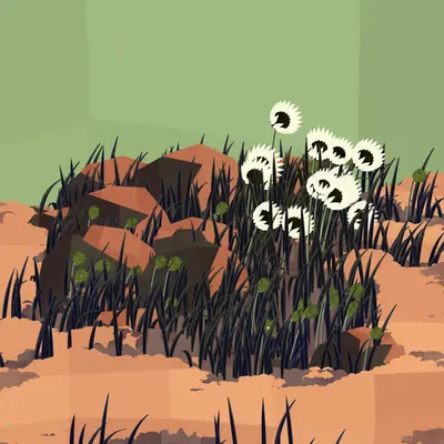 Frontier #6
