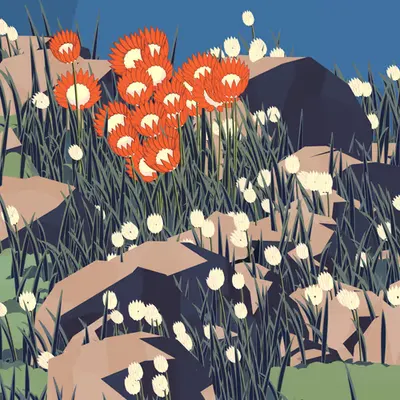 Frontier #7