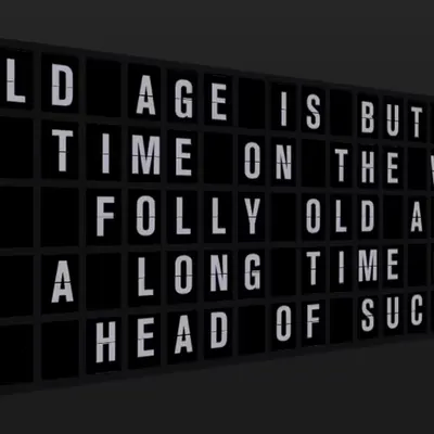 Appropriate Response: OLD AGE IS BUT A SHORT TIME ON THE WING OF FOLLY OLD AGE IS A LONG TIME ON THE