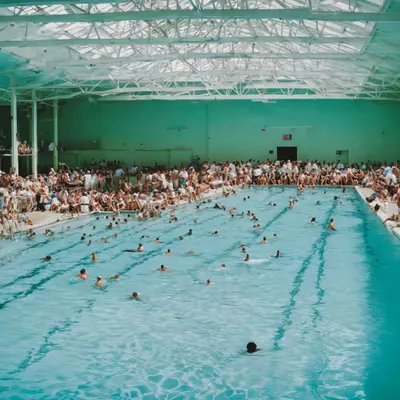 Premium Swimmers