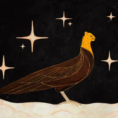 Chimera Bird Star Cheetah