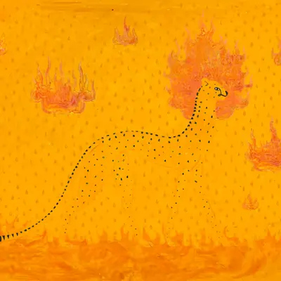 Chimera Cheetak Gold