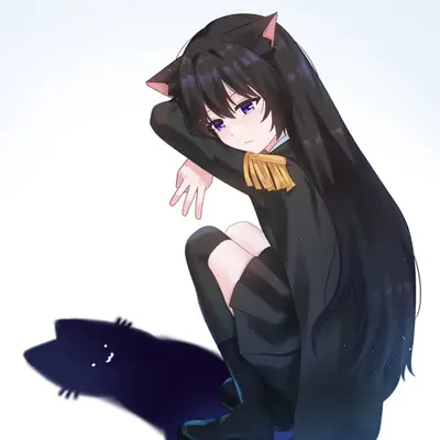 meow shadow