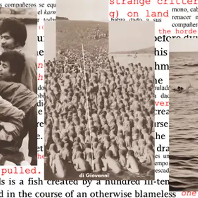 The Hundred-Heads: Collage