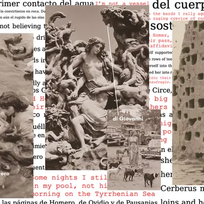 Scylla: Collage