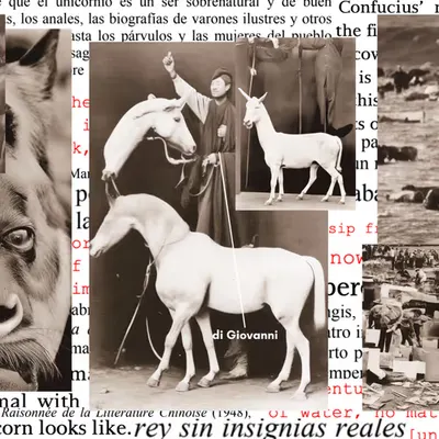The Chinese Unicorn: Collage