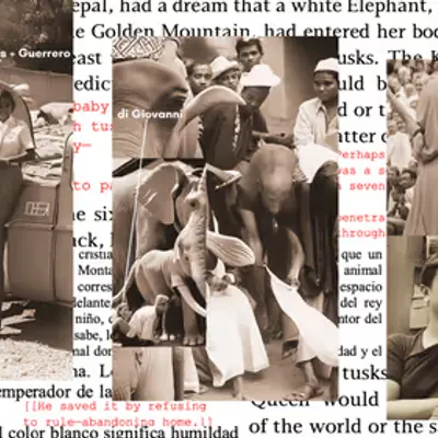 The Elephant that Foretold the Birth of the Buddha: Collage #1