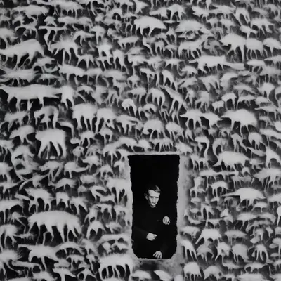 The Salamander: Image Generated by Borges + Guerrero's Spanish Text