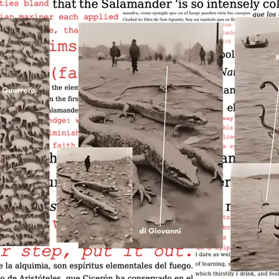 The Salamander: Collage