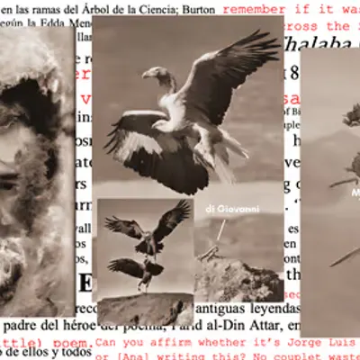 The Simurgh: King of the Birds: Collage