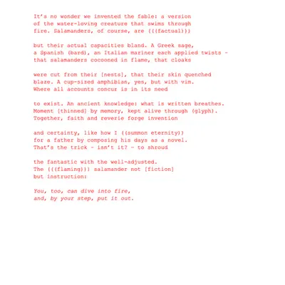 The Salamander: Poem by Ana María Caballero