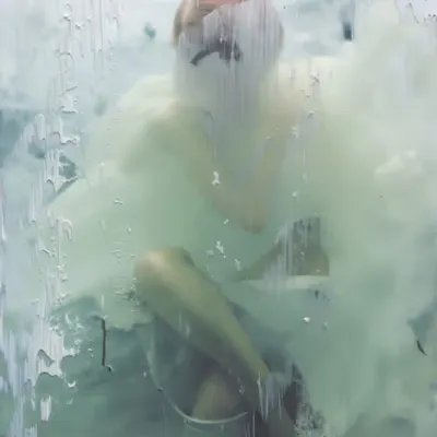 THE ALGORITHMIC MUSE 30