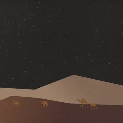 Oasis Odyssey #77