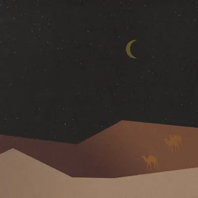 Oasis Odyssey #78