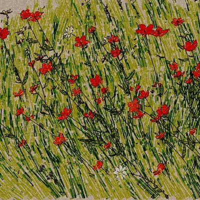 Armenian Poppies