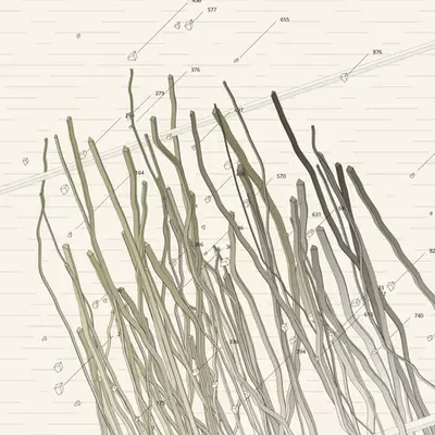 57 parallel latitudes #83
