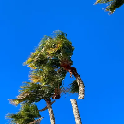 Gusts