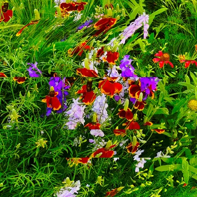 Stems
