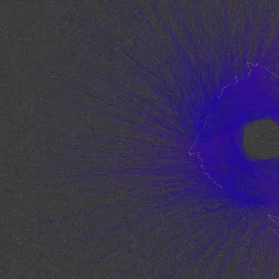 Nests #17